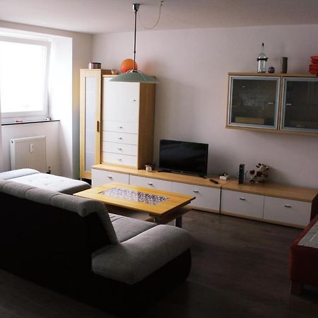 Full Flat 3 Bedrooms Saarbrucken Center -11 People エクステリア 写真